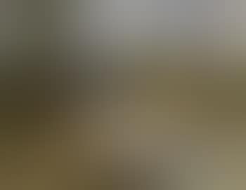 Partie aus der Ramsau (Scene from the Ramsau) (preview)