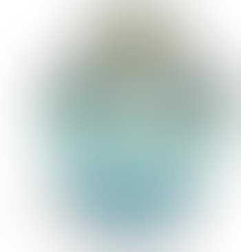 Vase (preview)