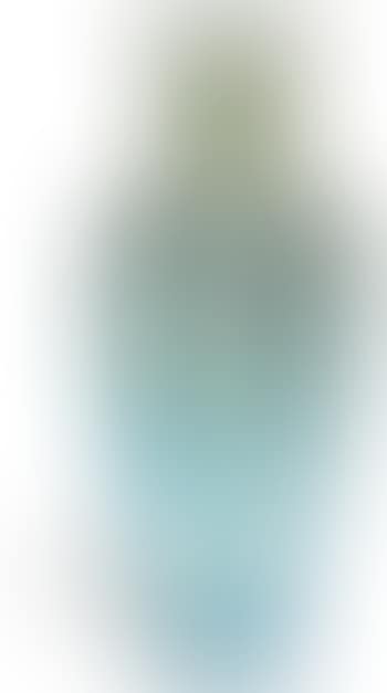 Vase (preview)