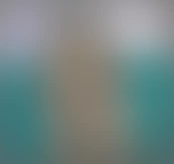 Rosetta (preview)