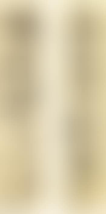 Calligraphy Couplet In Caoshu (preview)