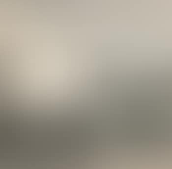 Four Egrets (preview)