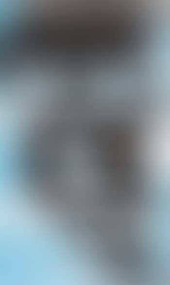 Flag Face (preview)