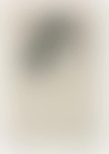 The Picture Book (No. 1) (preview)