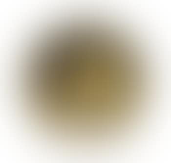 A bowl (preview)