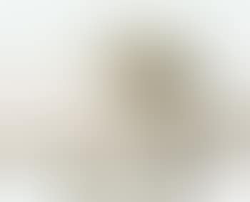 A bowl with slightly tapered rim (preview)