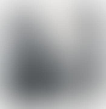 Portrait Of The Prince Of Wales (preview)