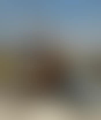 Boten op het droge (preview)