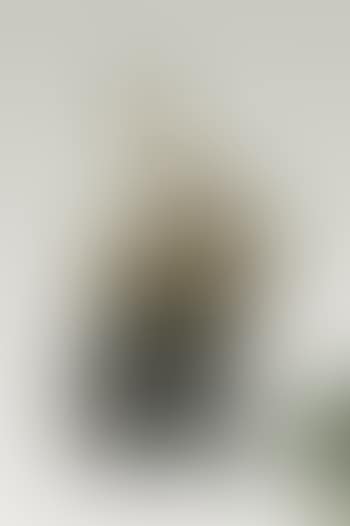Nu montant l'escalier - Nude ascending a staircase (preview)