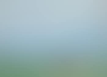 Paysage (preview)