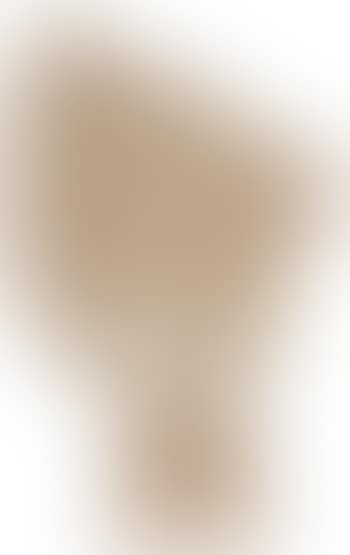 The History of Prince Codadad and His Brothers, preliminary illustration (preview)