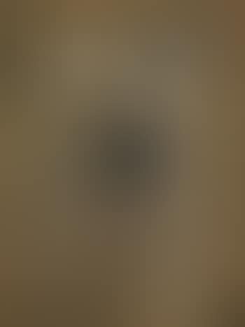 L'oeil (preview)
