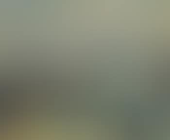 Port d'Anvers (preview)