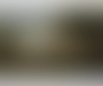 Landscape with cattle (preview)