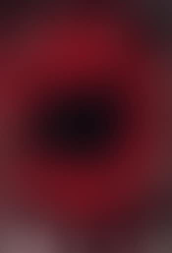 Spin painting (preview)