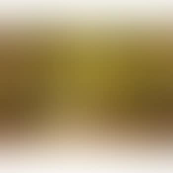 Le Parc Monceau (preview)