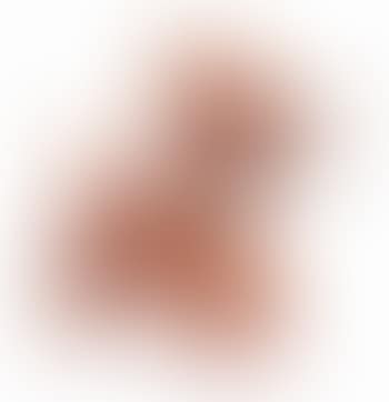 Balloon Dog (Orange) (preview)