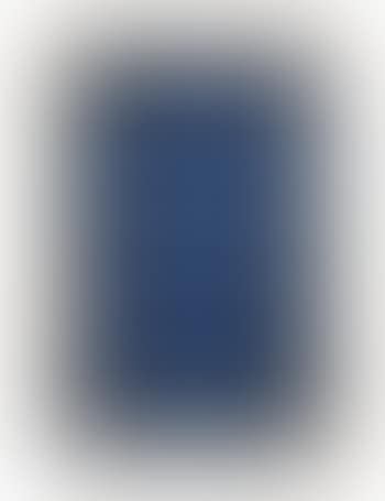 Untitled (Compartmented Medici Princess [Bronzino]) (preview)