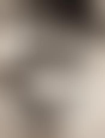 Boulangerie Cart (preview)