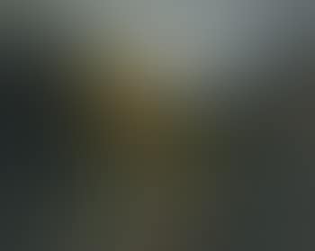 Paysage (preview)