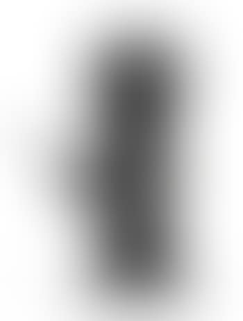 Gai (preview)