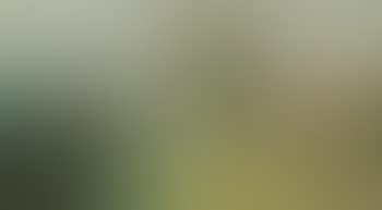 Paysage (preview)