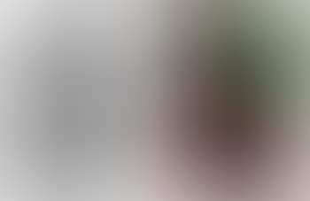 Two works: (i) Untitled (JS0733); (ii) Untitled (JS07224) (preview)