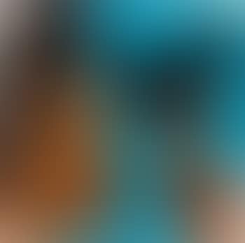 Hola Paco Que Tal (preview)