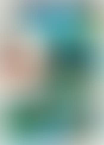 2 (preview)