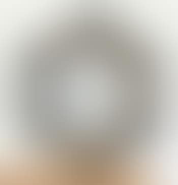 Your Compound Eye (preview)