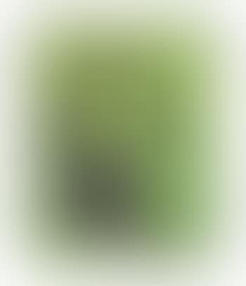 Judith Green (preview)