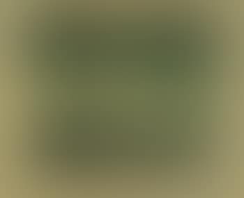 Svanshall Verkehrt (preview)