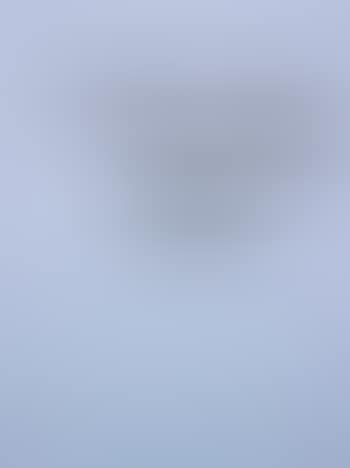 Untitled (Anything) (preview)