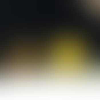 Still Life (preview)