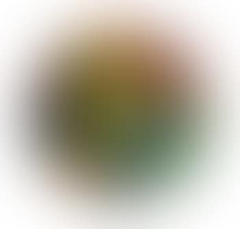 Still Life 1987-90 (preview)