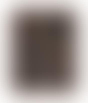 Seated Woman No. 2 (preview)