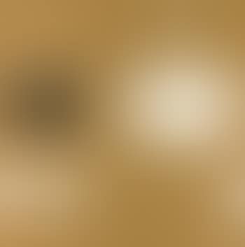 Ochre Still Life II (preview)