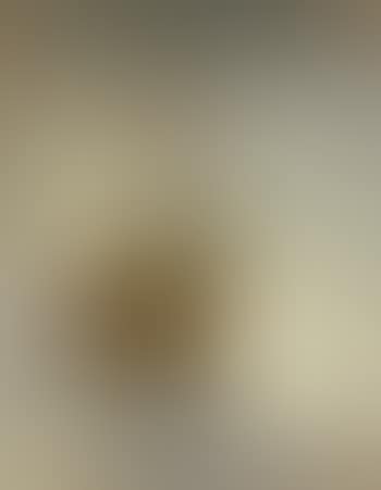 Interior With A Bust (preview)