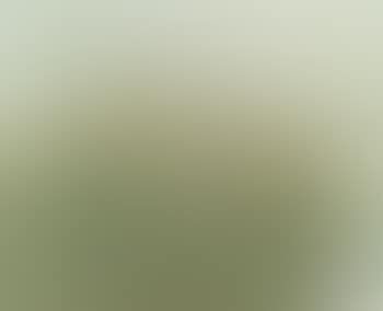 Abstraktion in Beige-grau (preview)