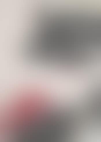 Roter Lotus Mit Schwarzem Vogel (preview)