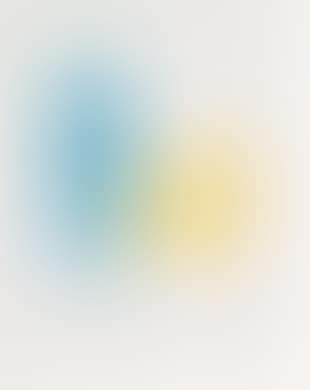Gaston Puel, Arp (preview)