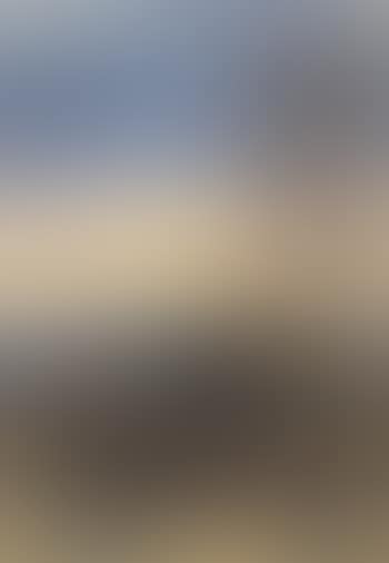 Oxen ploughing at sunset (preview)