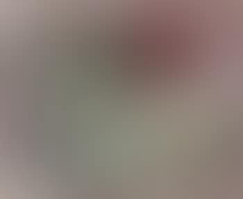 Submission  (also known as Indignidad) (preview)