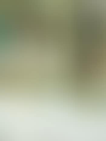 Oh it was Summer whilst I slept, 'Tis Winter when I waken (preview)
