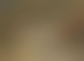 Two Saint-Bernard puppies playing with a hat (preview)