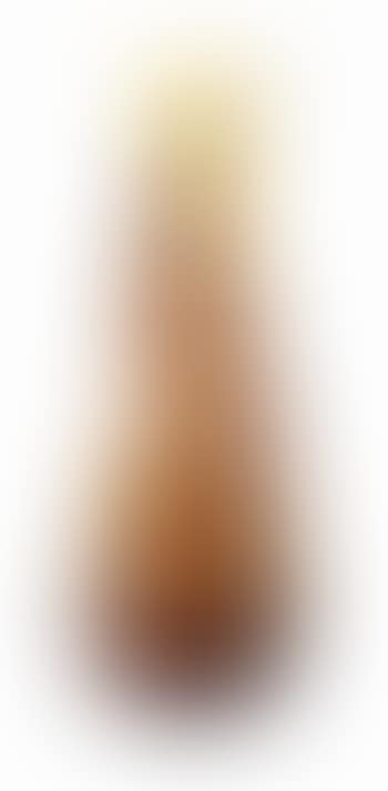 A Landscape Vase (preview)