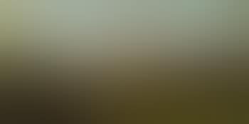 Landscape (preview)