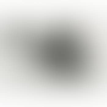 Untitled, from Harvey Gantt Portfolio (G. 1452) (preview)