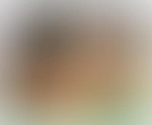 Landscape (preview)