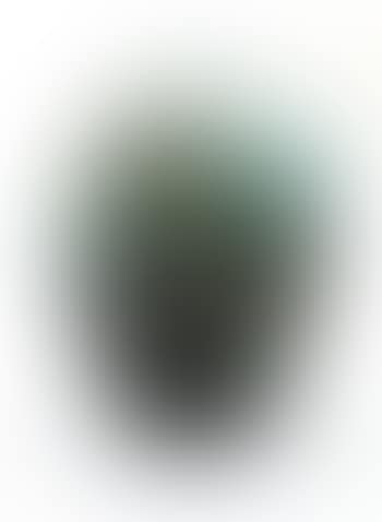 Small Vase With Alpine Landscape (preview)